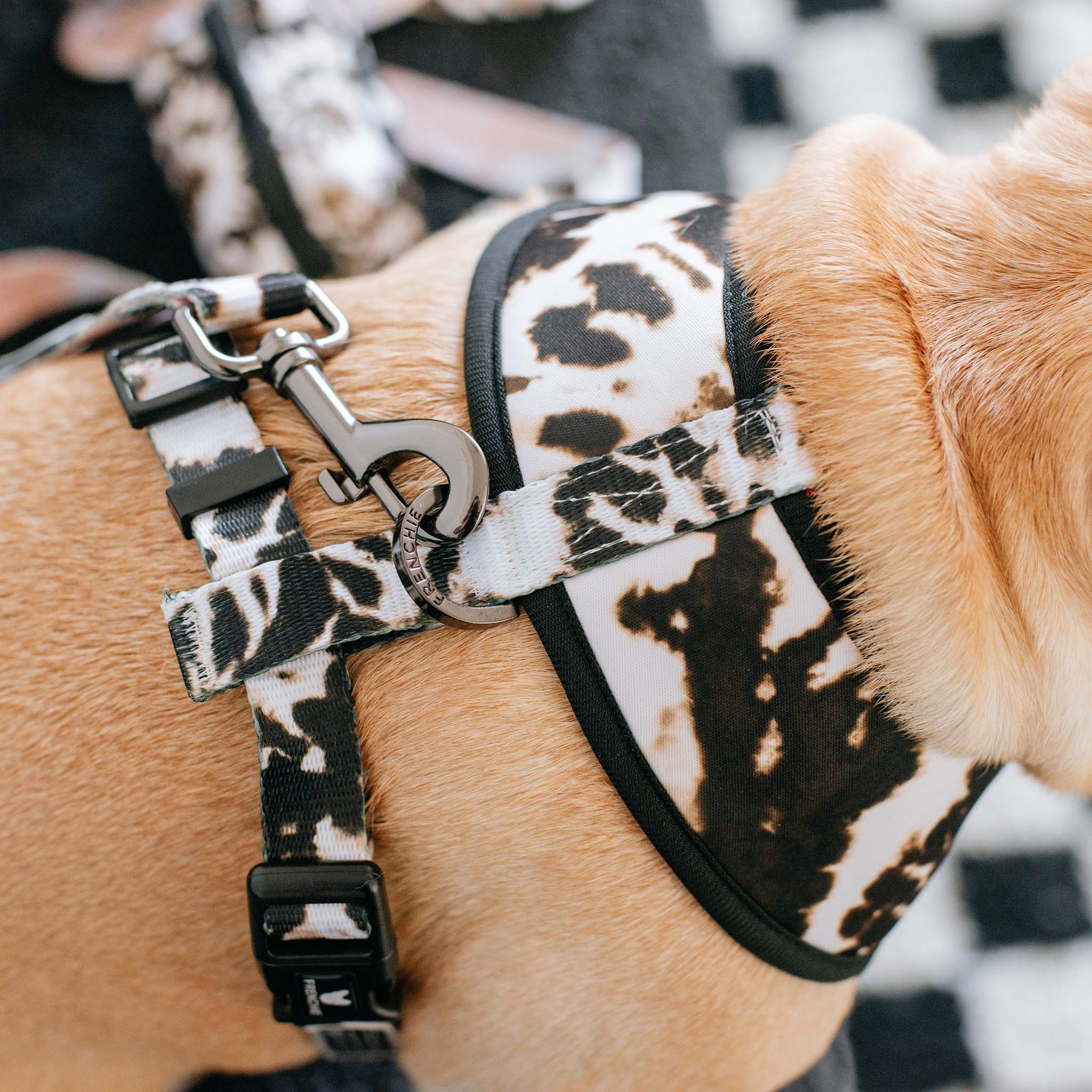 Frenchie Duo Reversible Harness - Earthy Tie Dye