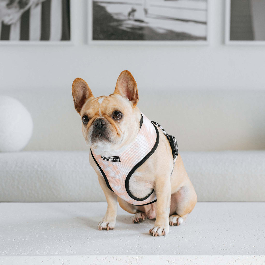 Frenchie Duo Reversible Harness - Earthy Tie Dye
