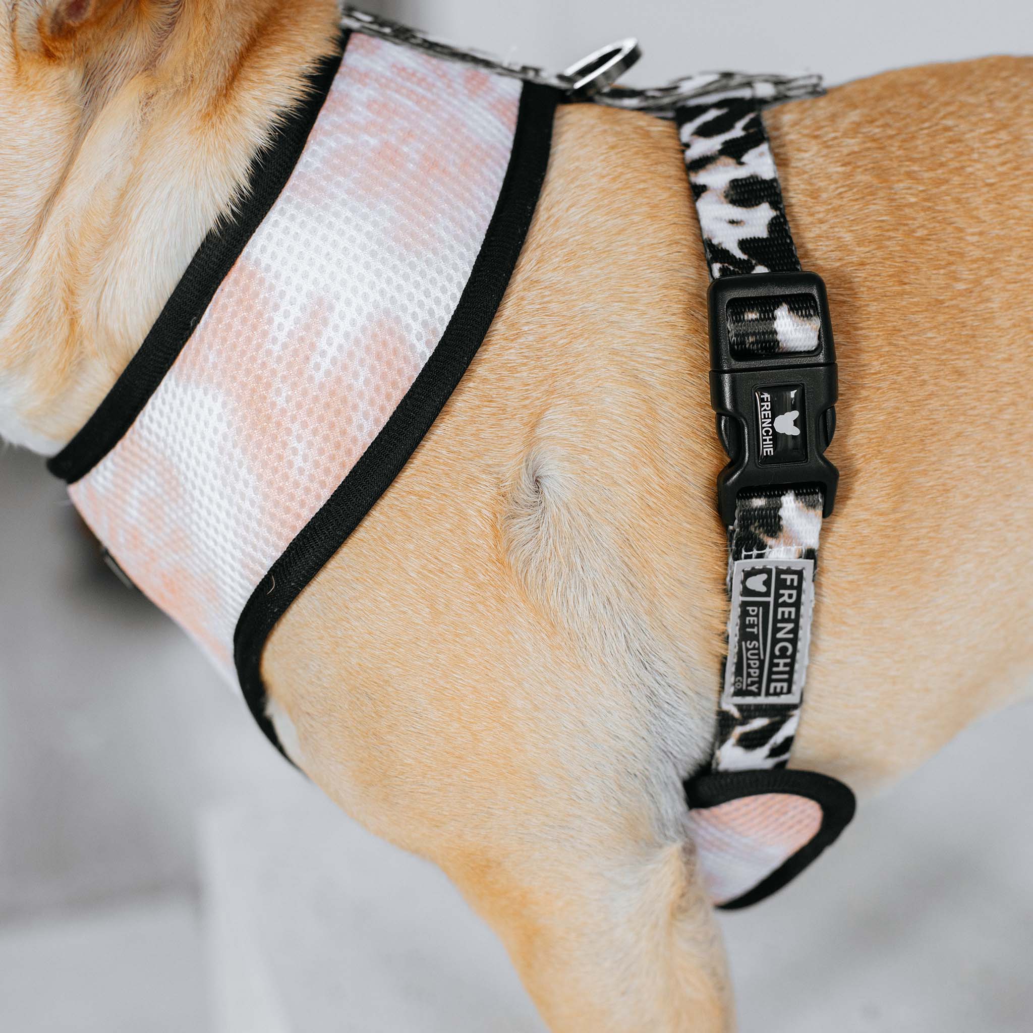 Frenchie Duo Reversible Harness - Earthy Tie Dye