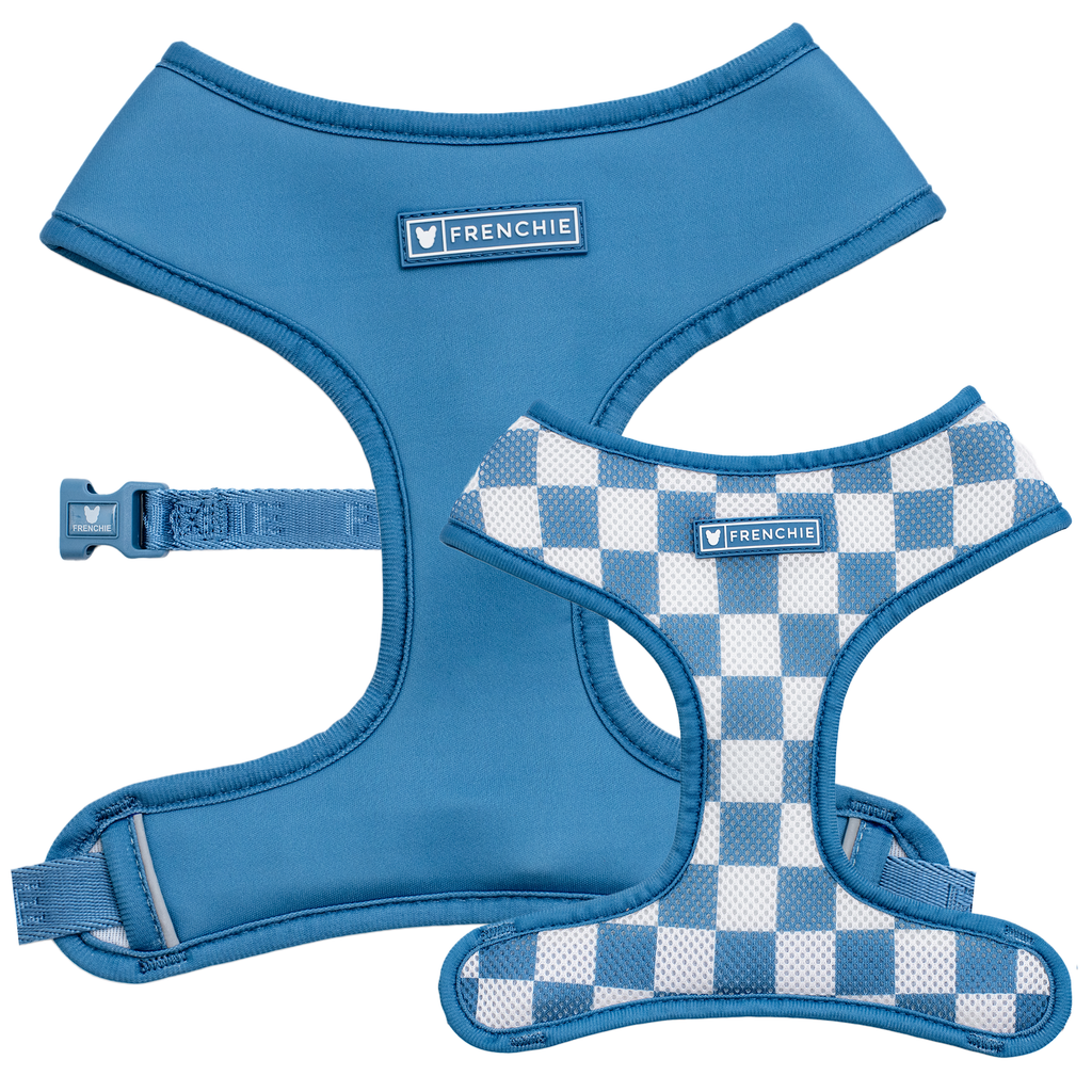 Frenchie Duo Reversible Harness - Solid Blue Steel