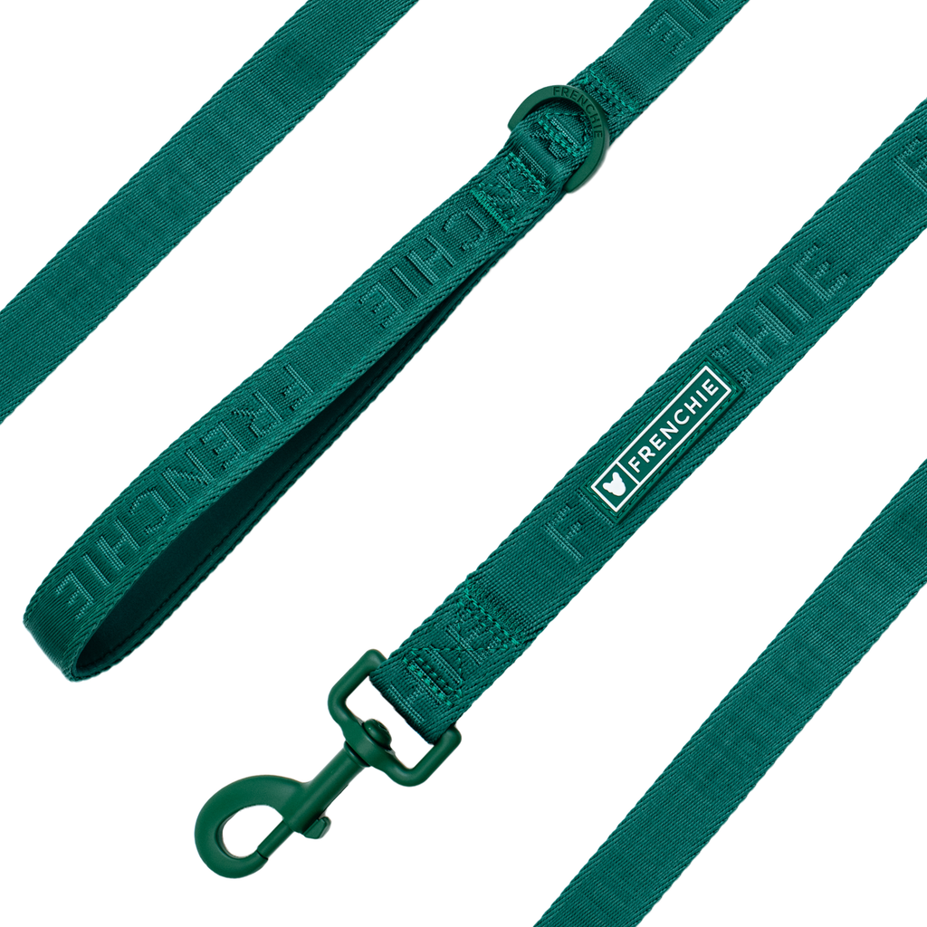 Frenchie Comfort Leash - Solid Emerald City