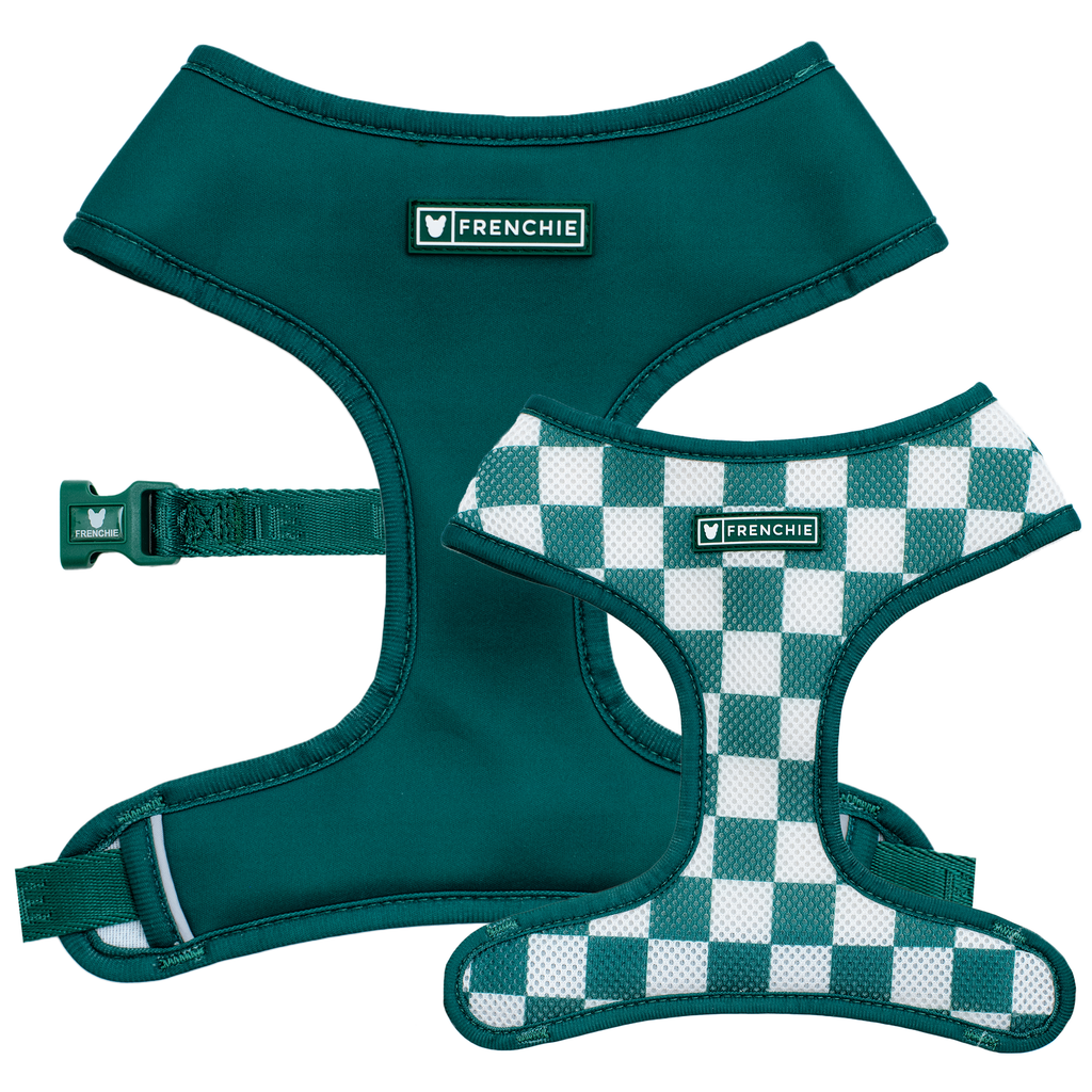 Frenchie Duo Reversible Harness - Solid Emerald City