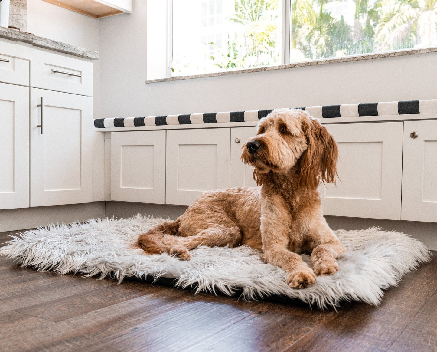 PupRug by Paw.com® Portable Orthopedic Dog Bed - Grey