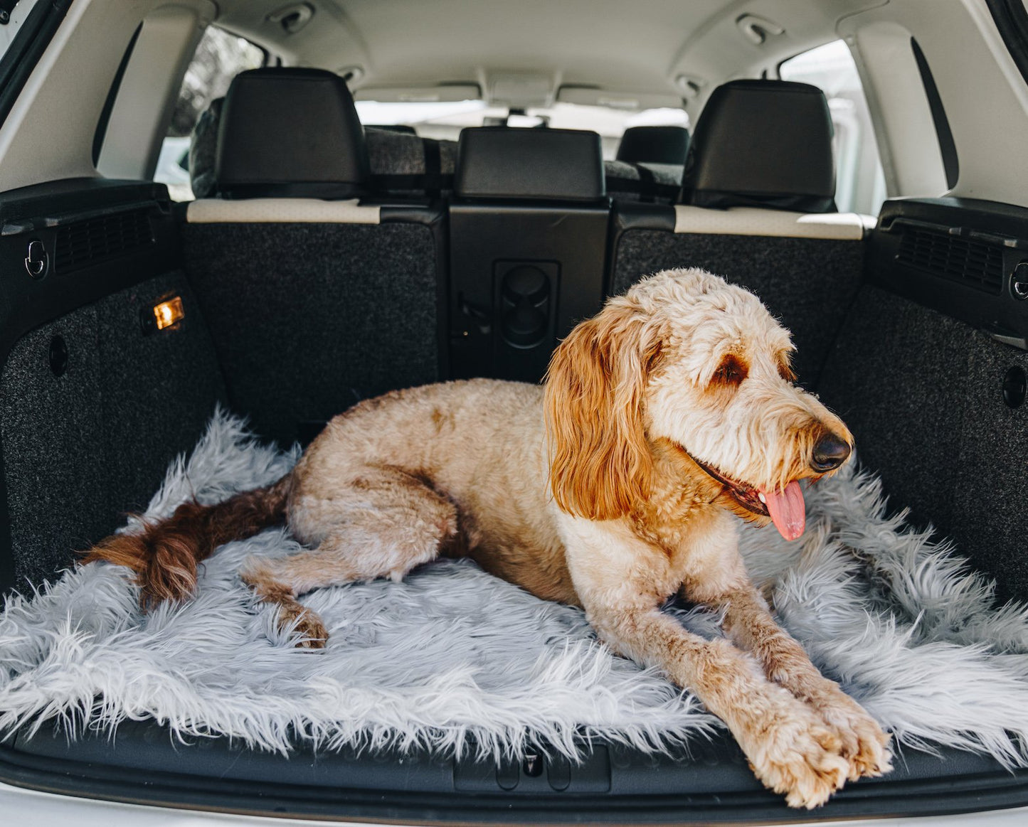 PupRug by Paw.com® Portable Orthopedic Dog Bed - Grey