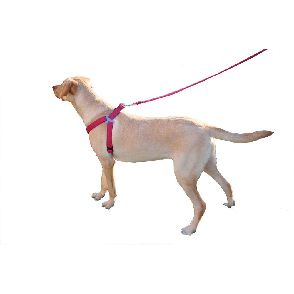 Comfort Microfiber Flat Step-In Dog Harness
