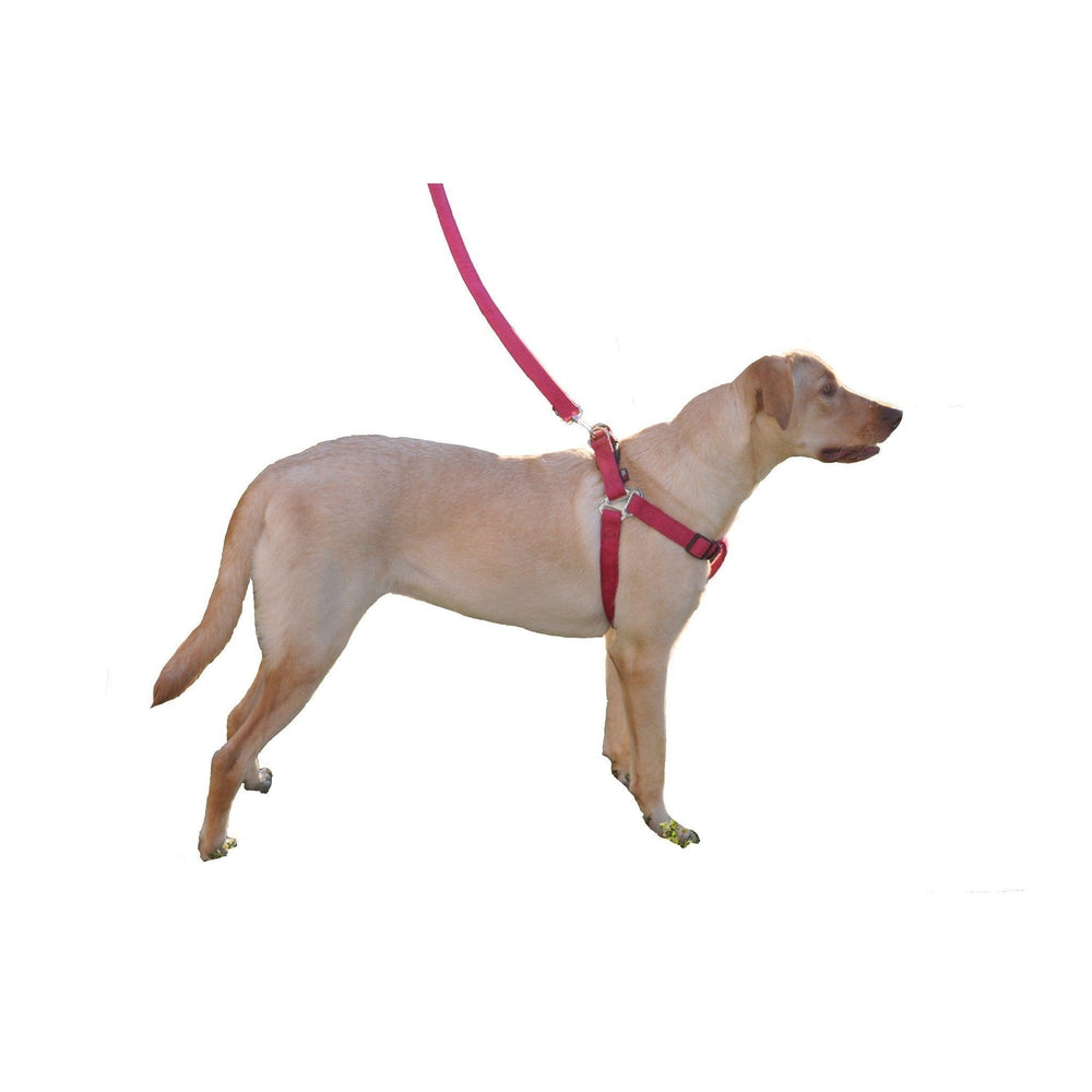 Comfort Microfiber Flat Step-In Dog Harness