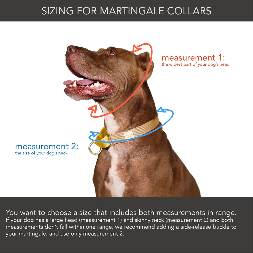 martingale collar / forest + olive