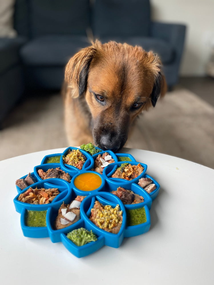 Mandala Design eTray Enrichment Shallow Slow Feeder Dog Bowl