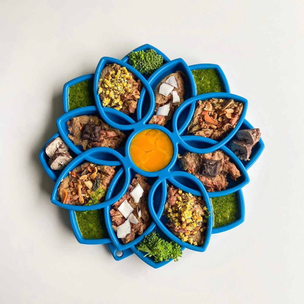 Mandala Design eTray Enrichment Shallow Slow Feeder Dog Bowl
