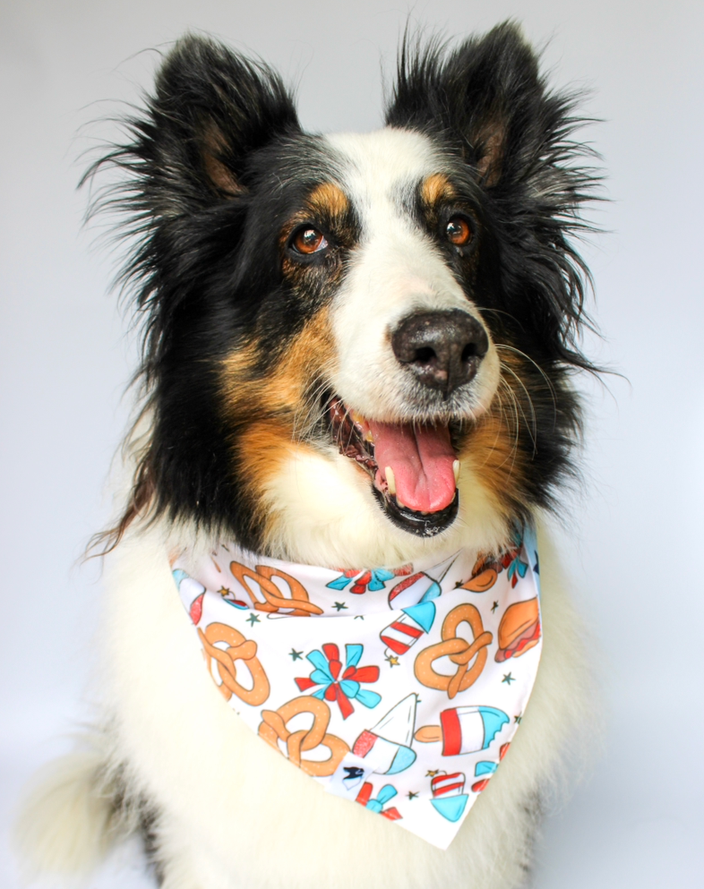 Patriotic Summer Dog Bandana