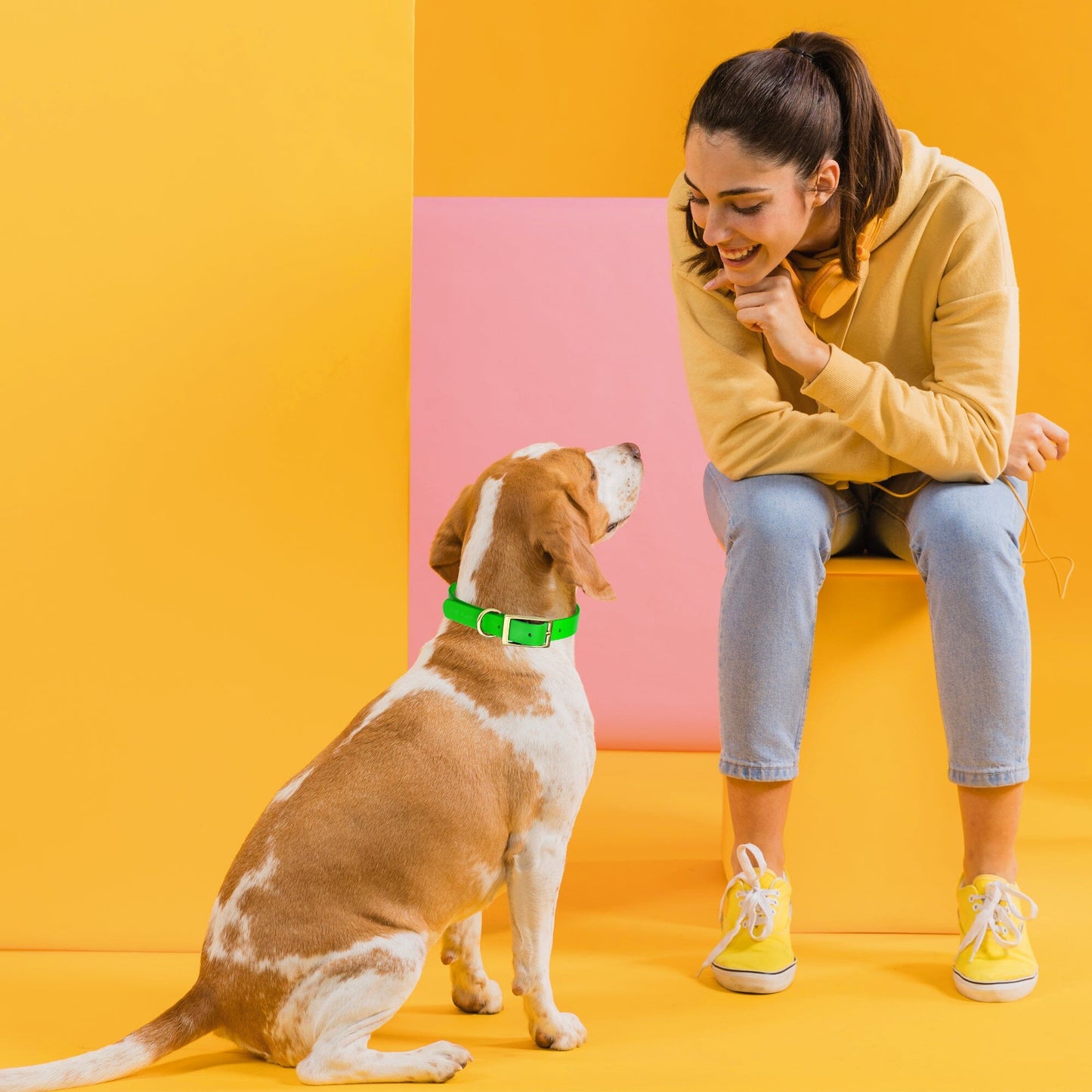 Viper Biothane Waterproof Dog Collar - Brass Hardware - 1.5in Wide - Size XXL (24" - 28")