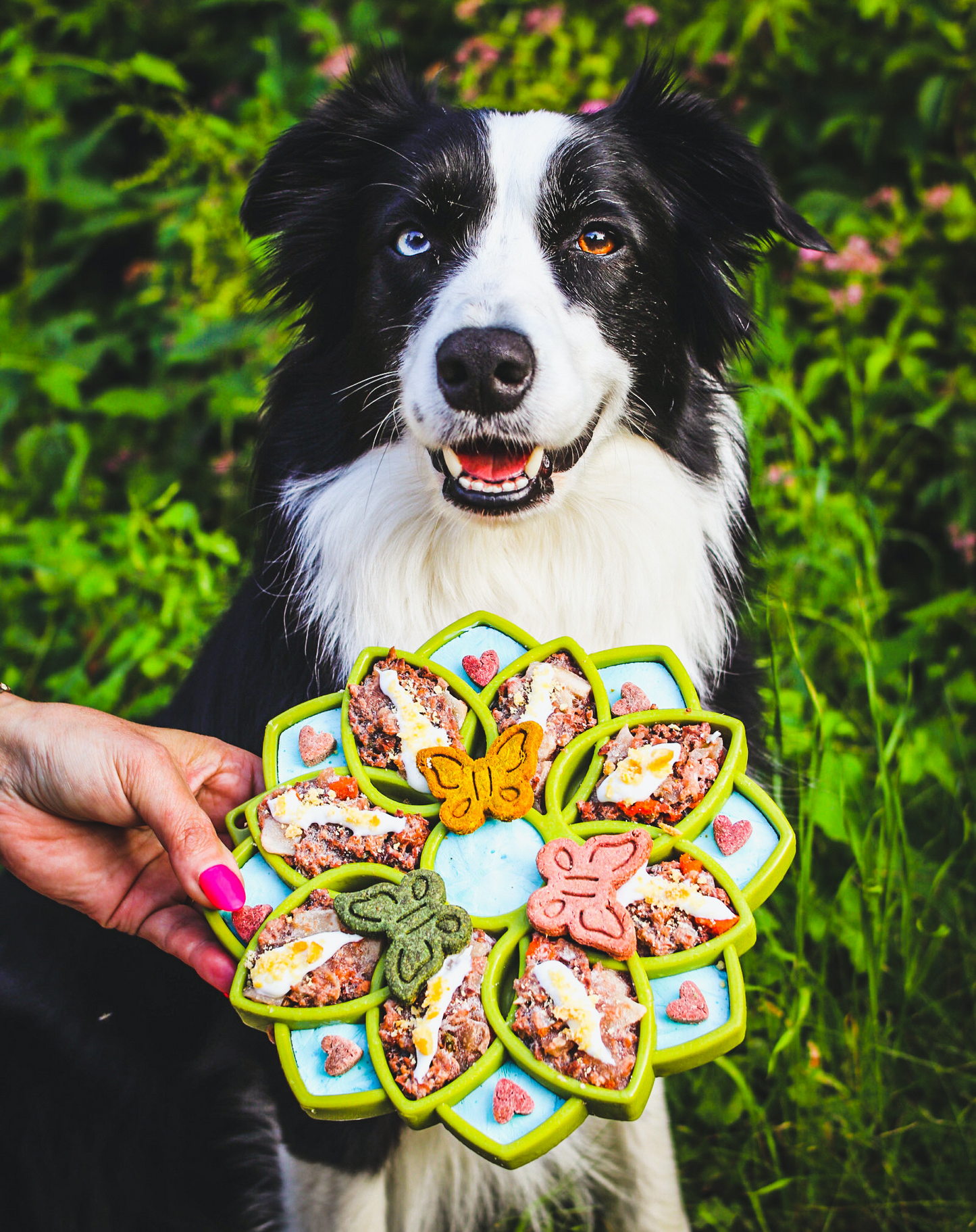 Mandala Design eTray Enrichment Shallow Slow Feeder Dog Bowl