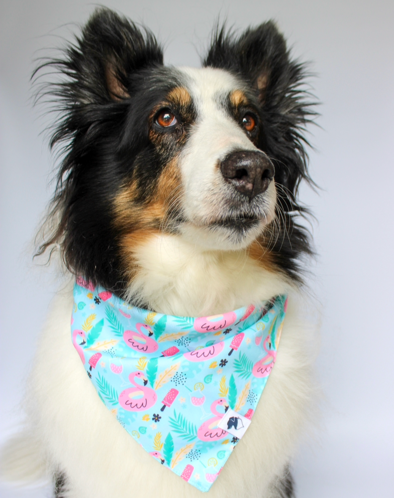 Summer Beach Dog Bandana