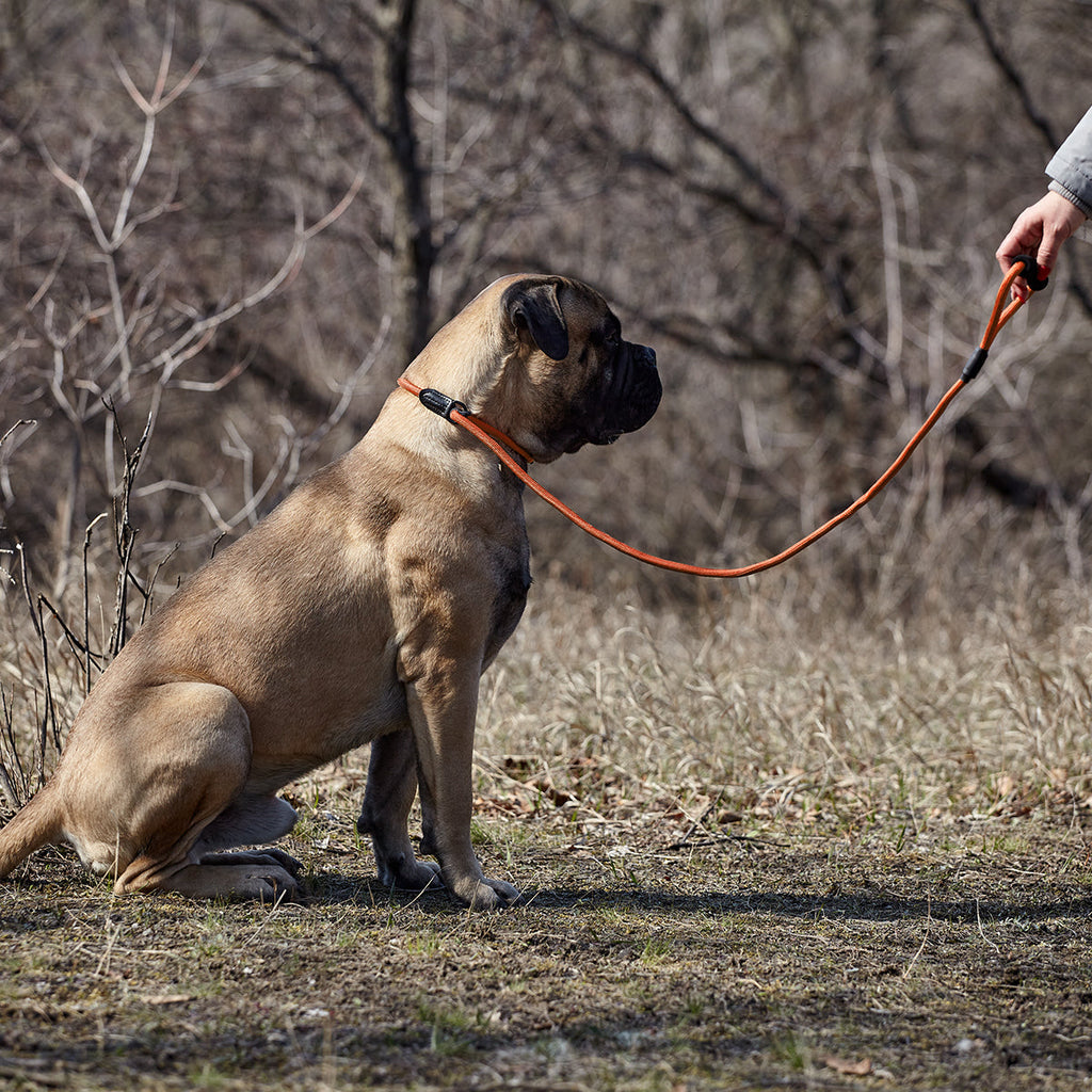 Round Nylon Slip Lead