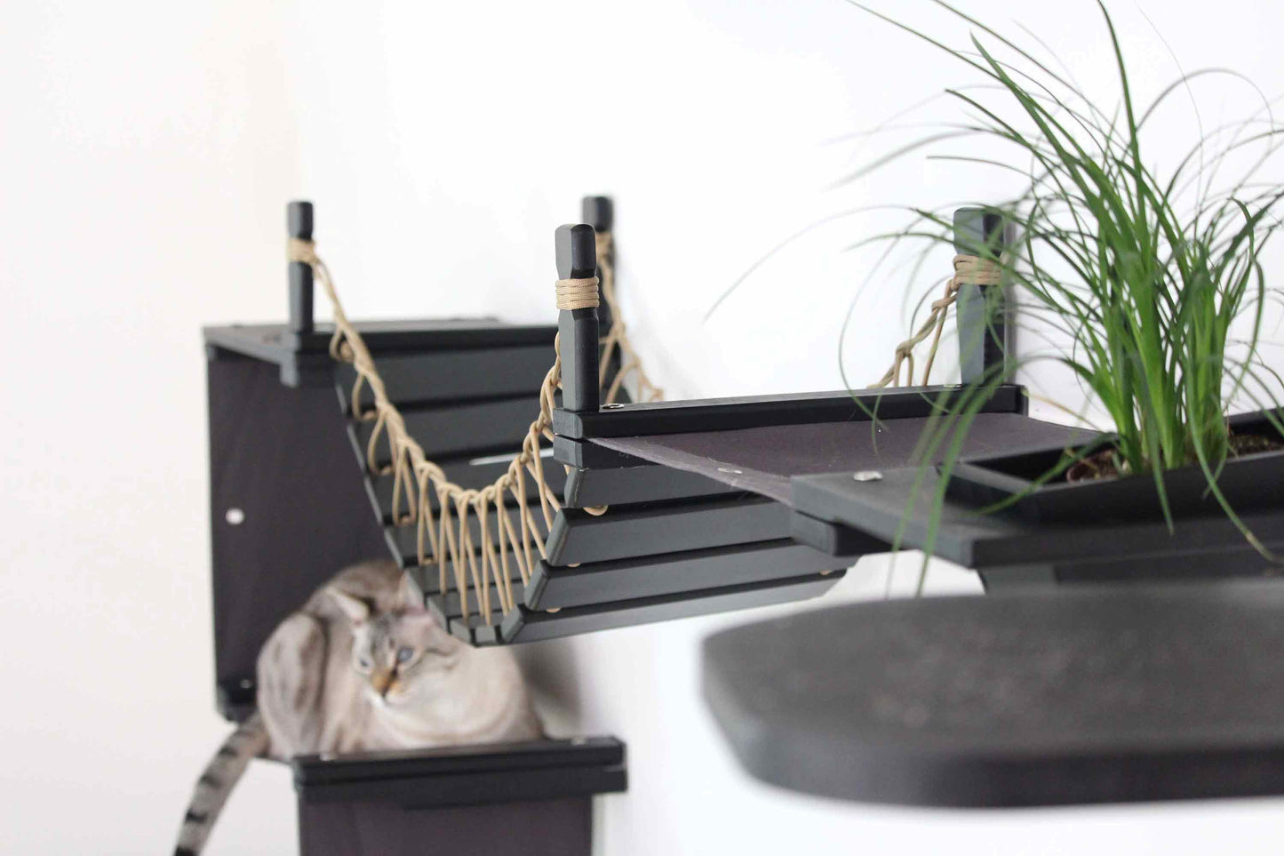 The Juggernaut - Indoor Cat Playground for Wall