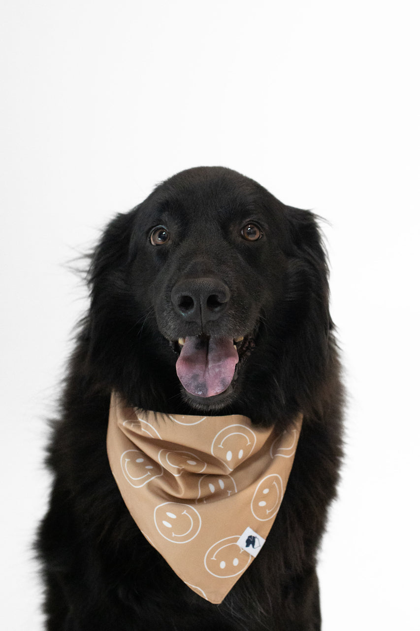 Smiles Dog Bandana