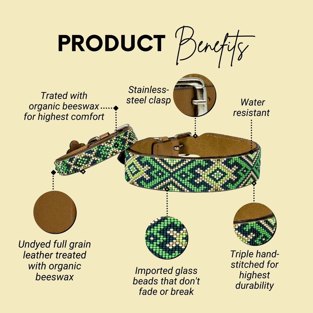 Lucky Sambboho dog collar