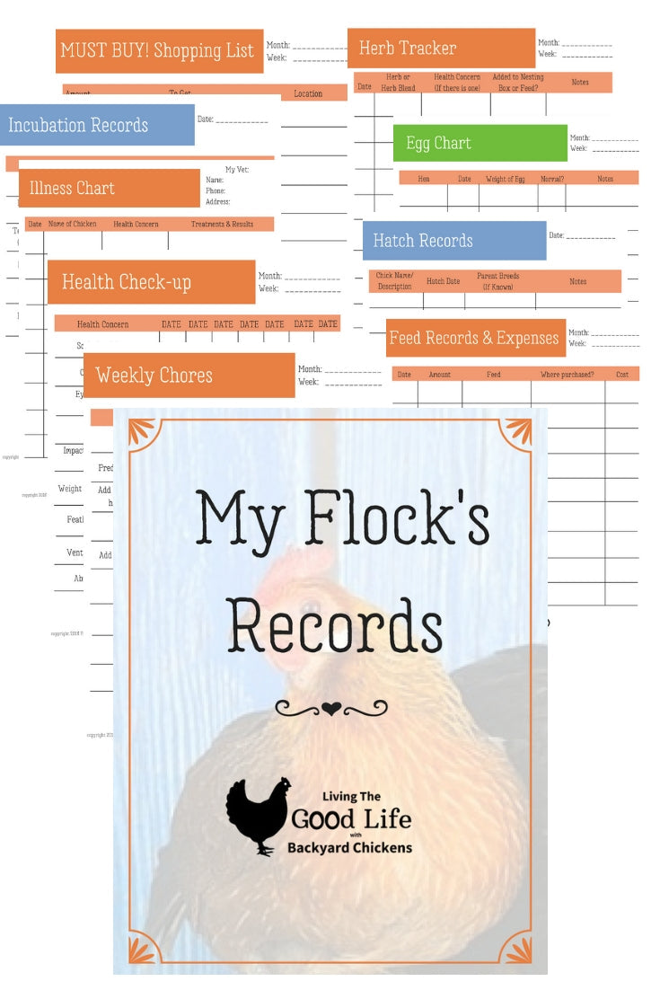 Backyard Chicken Care Record Kit