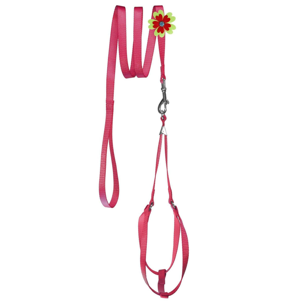 Step-In Nylon Dog Harness + Optional Flower Dog Leash
