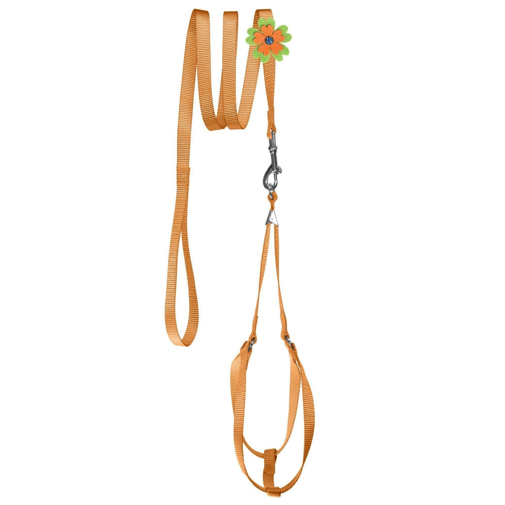 Step-In Nylon Dog Harness + Optional Flower Dog Leash