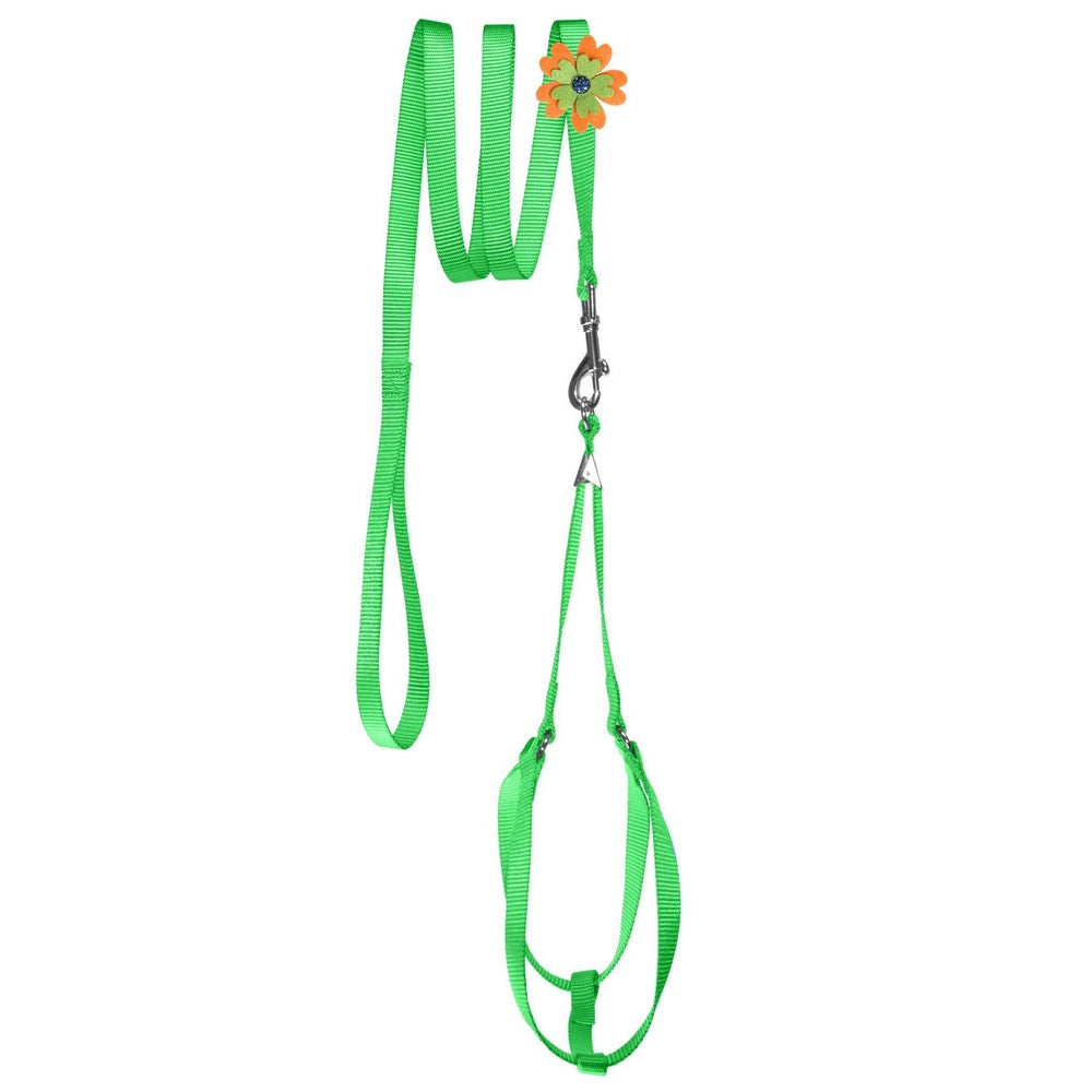 Step-In Nylon Dog Harness + Optional Flower Dog Leash