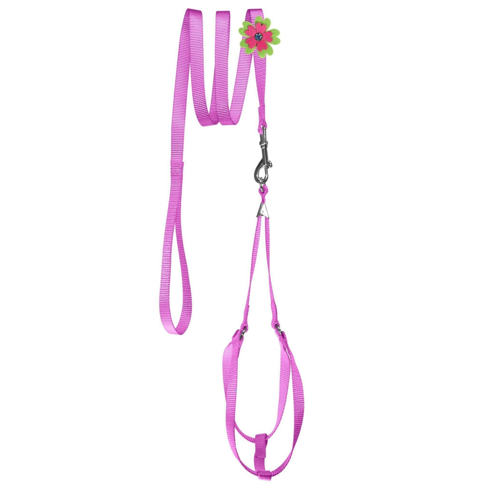 Step-In Nylon Dog Harness + Optional Flower Dog Leash