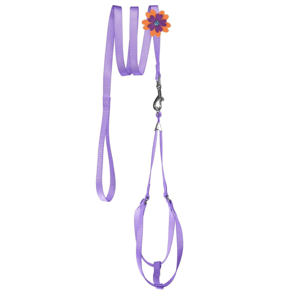 Step-In Nylon Dog Harness + Optional Flower Dog Leash