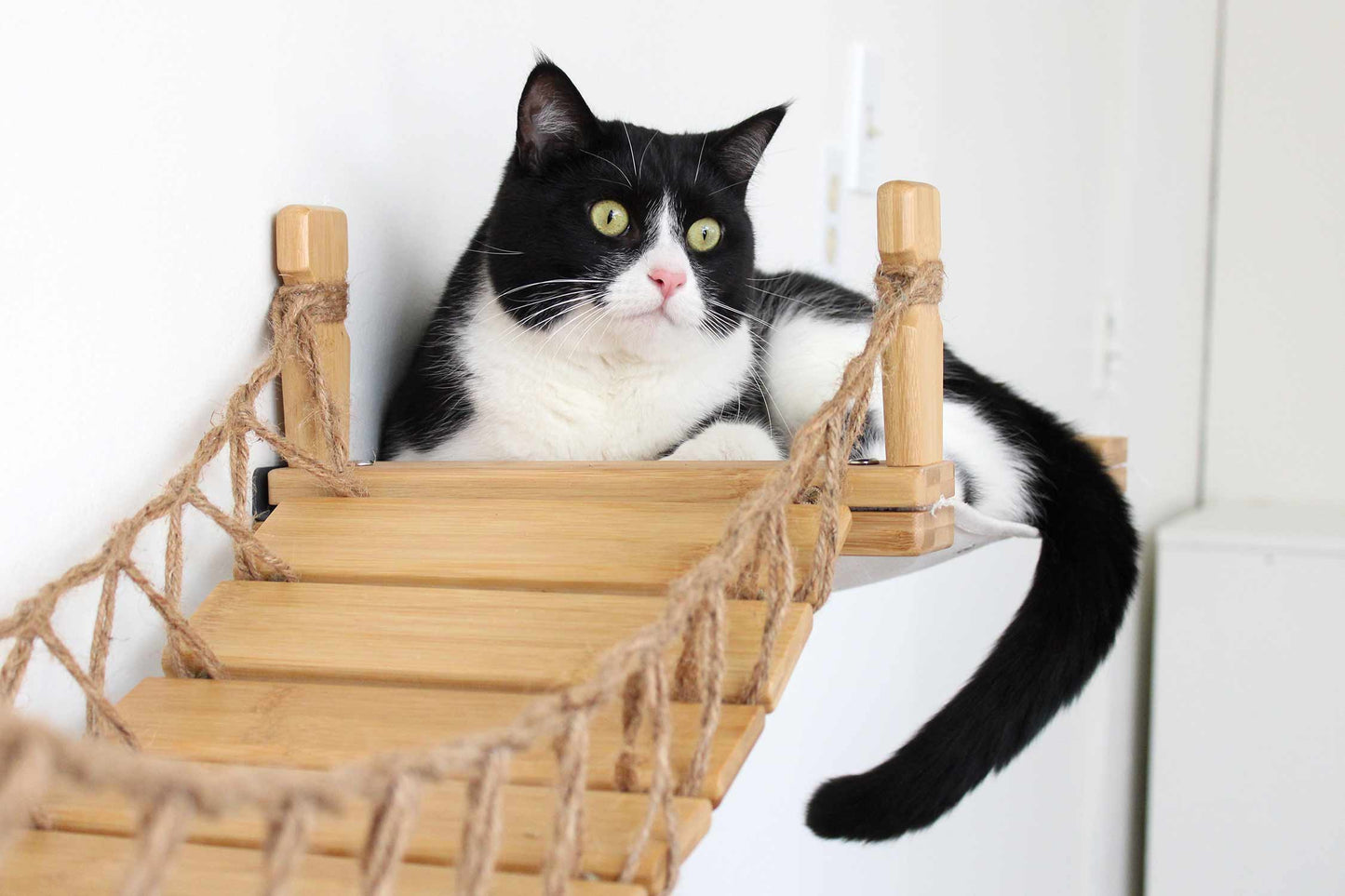 Double Cat Hammock and Climbing Bridge Combo