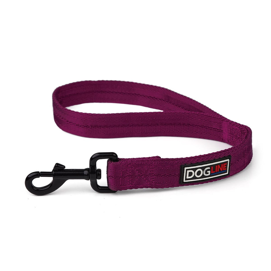 Nylon Flat Dog Leash