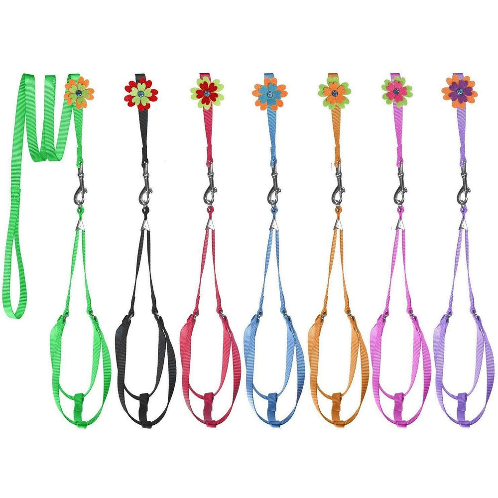 Step-In Nylon Dog Harness + Optional Flower Dog Leash
