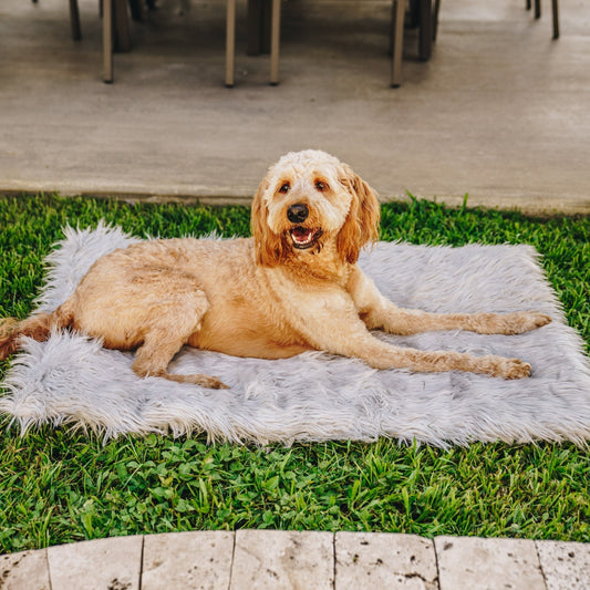 PupRug by Paw.com® Portable Orthopedic Dog Bed - Grey