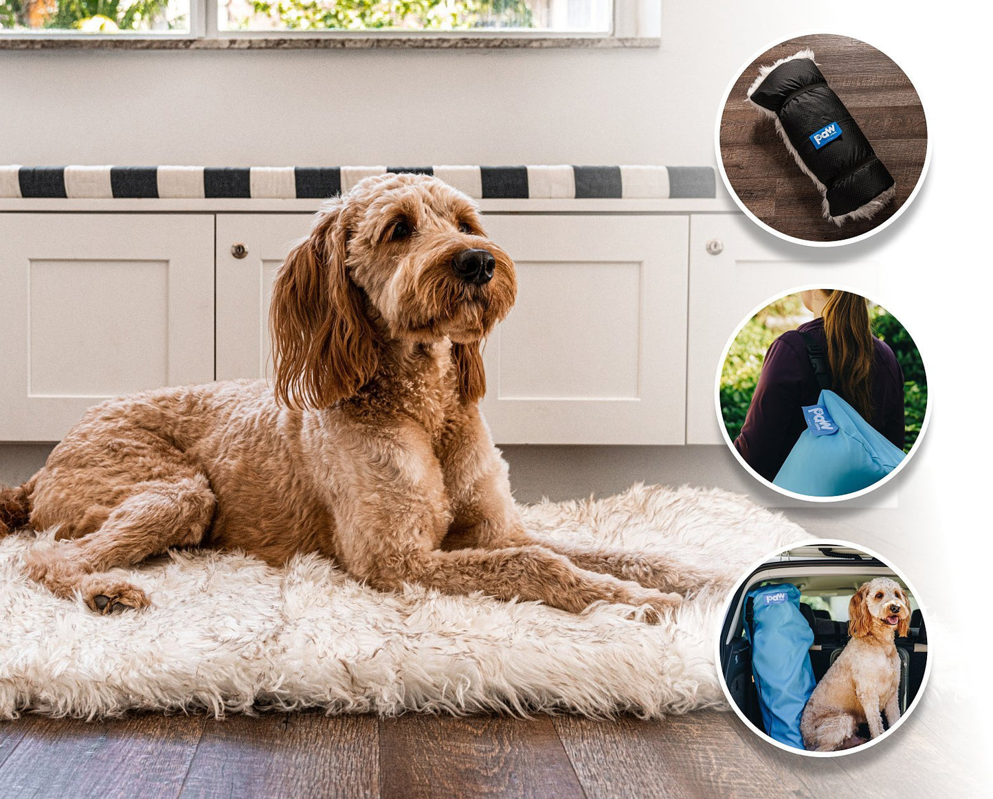 PupRug by Paw.com® Portable Orthopedic Dog Bed - White with Brown Accents