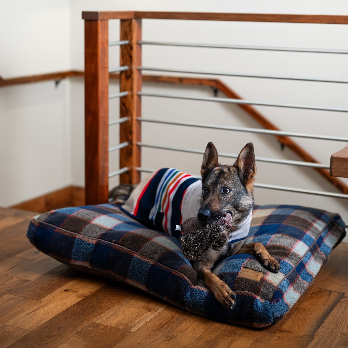 Pendleton Berber Pet Napper