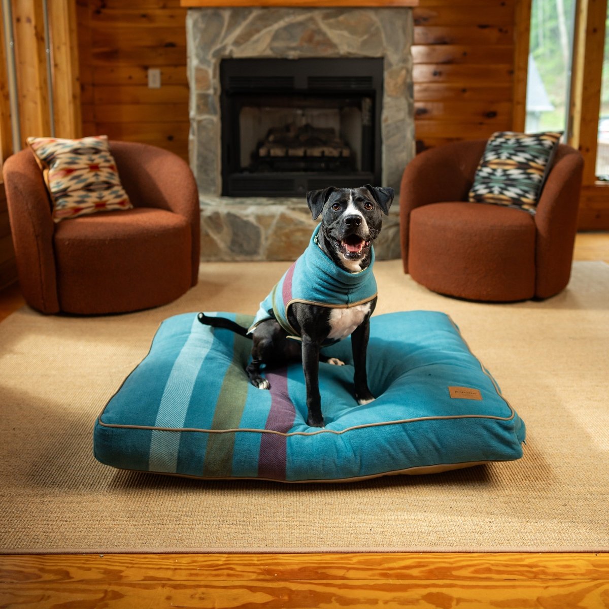 Pendleton Dog Vest