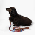 Pendleton Heritage Leash