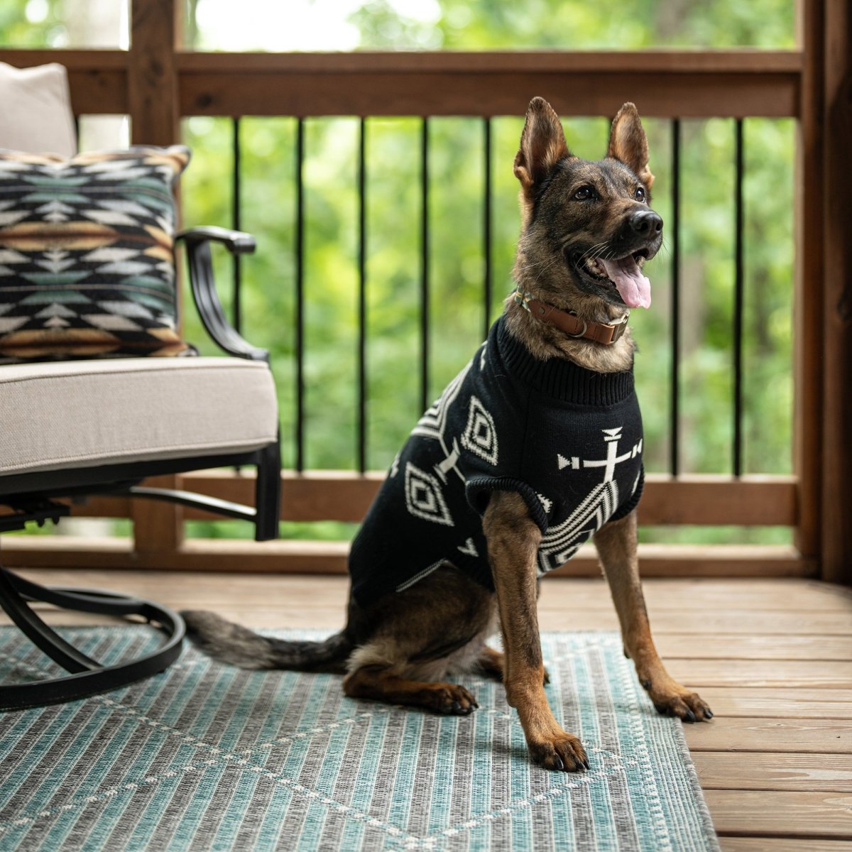 Pendleton Knitted Dog Sweater
