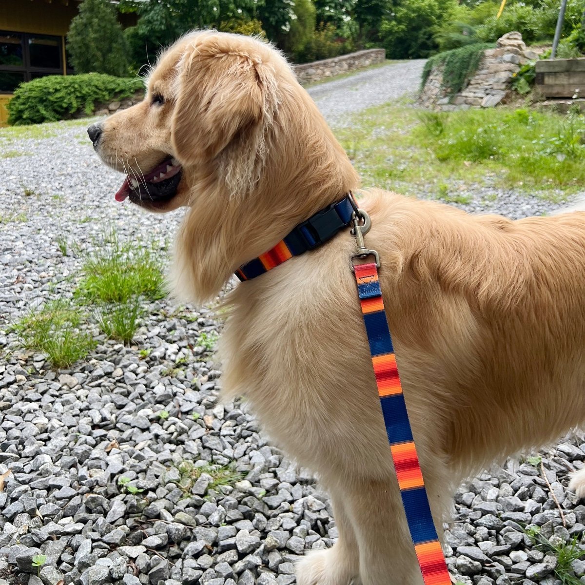 Pendleton National Park Adventure Collar
