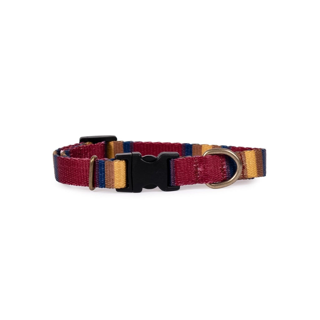 Pendleton National Park Adventure Collar