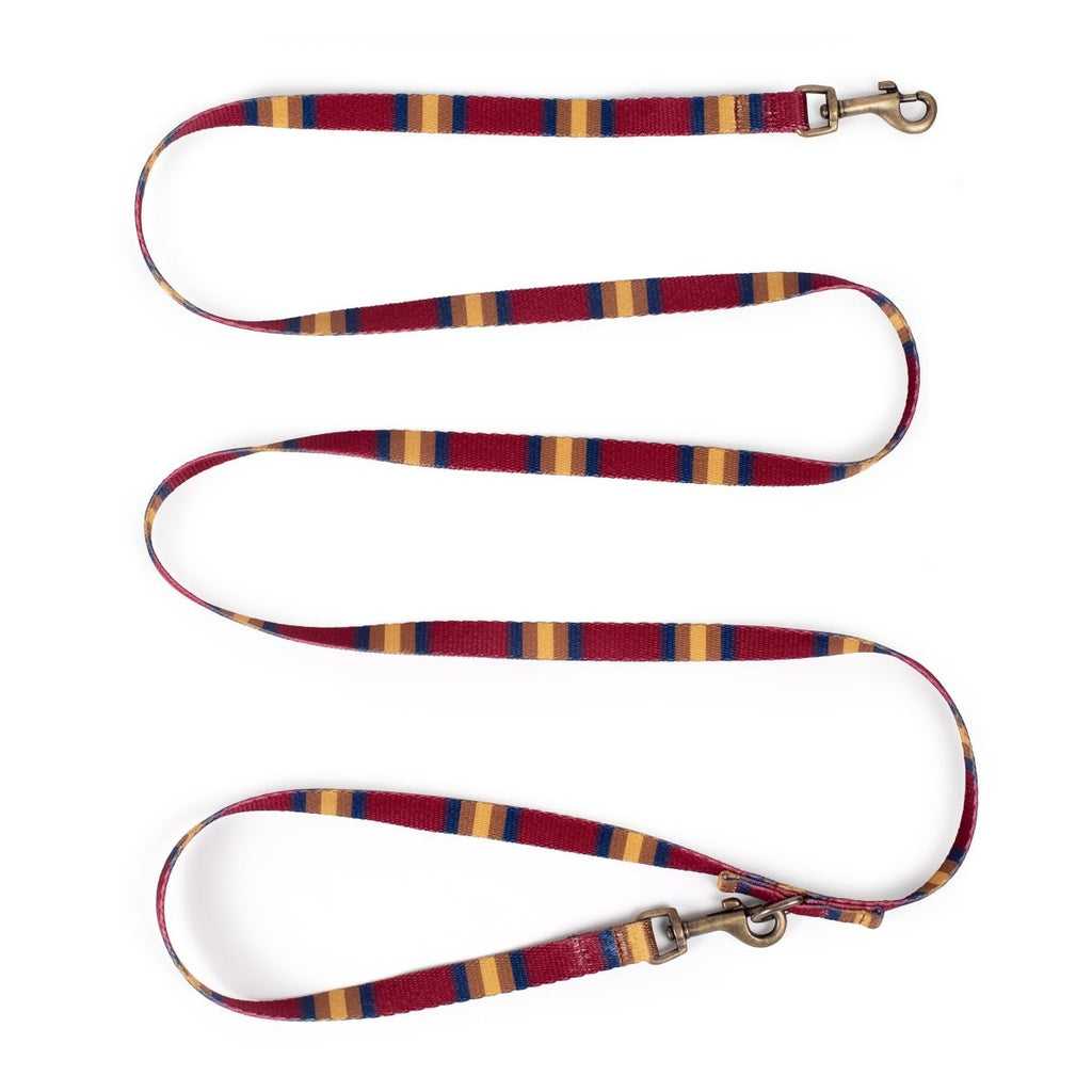 Pendleton National Park Adventure Leash