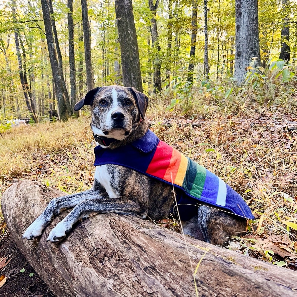 Pendleton National Park Coat