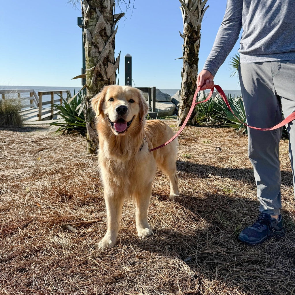 Pet Leash- Checkered Wave