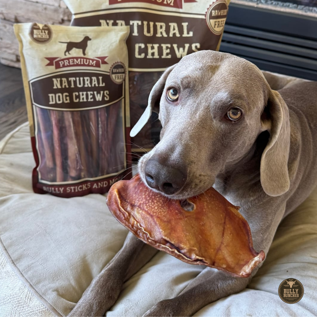Whole Pig Ear