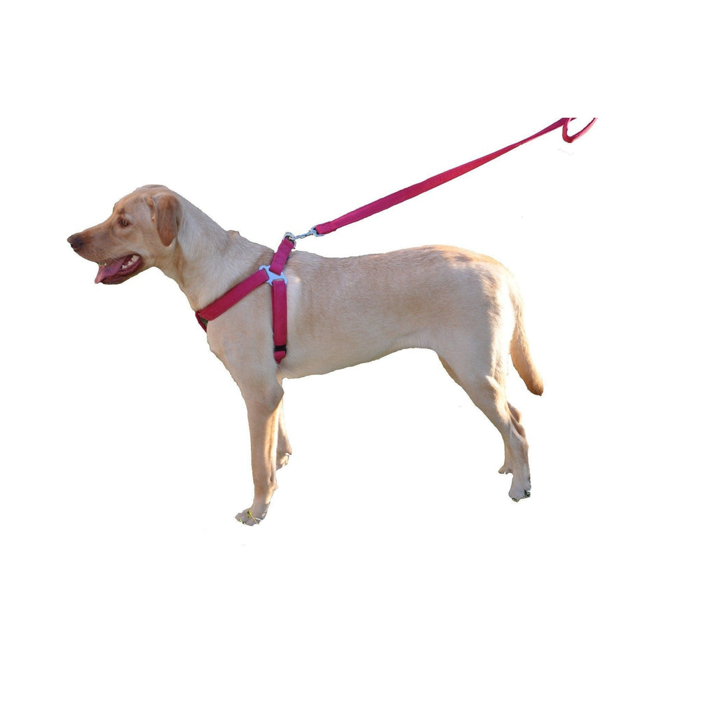 Comfort Microfiber Flat Step-In Dog Harness