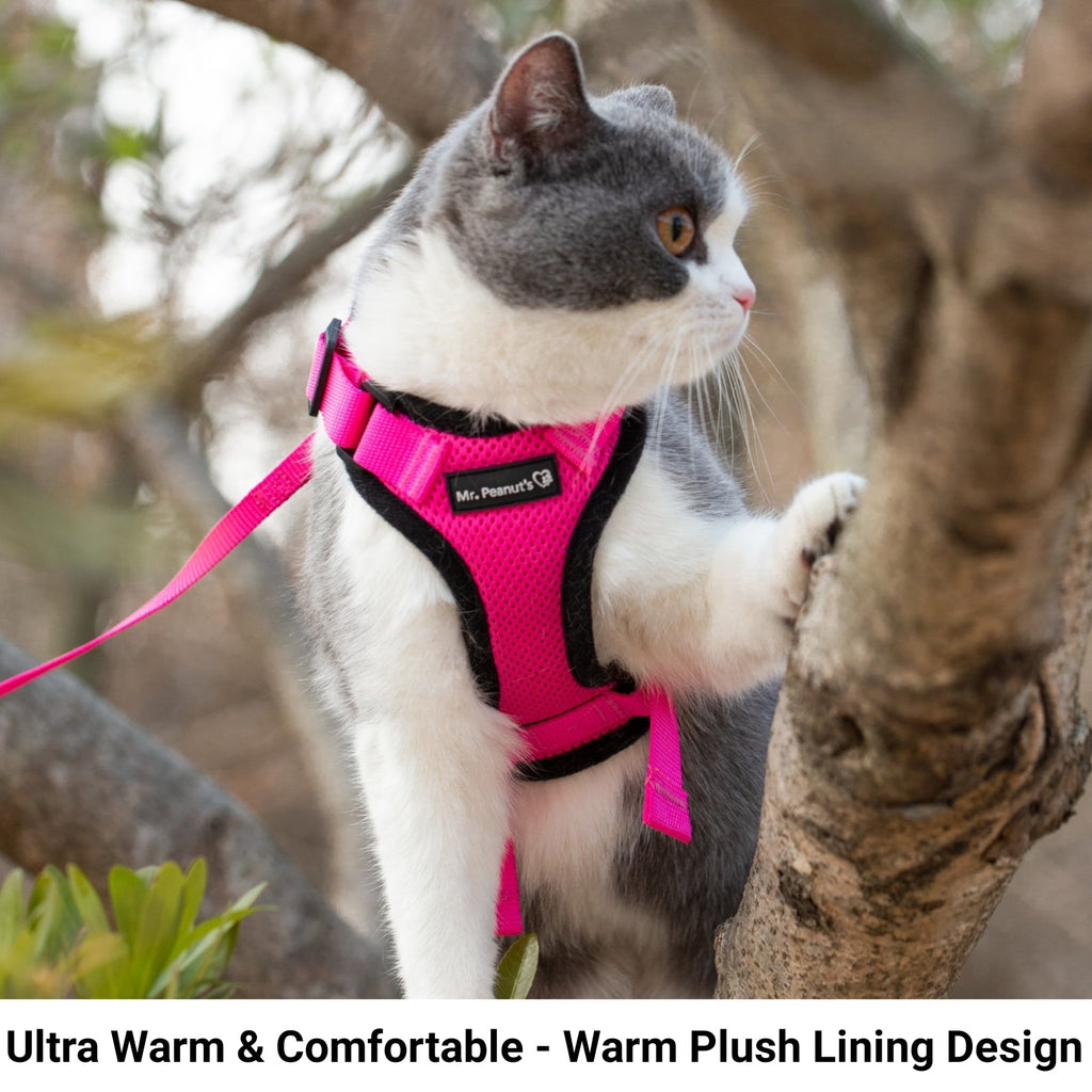 Mr. Peanut's PurrTrek Reflective Cat Harness with Matching Leash