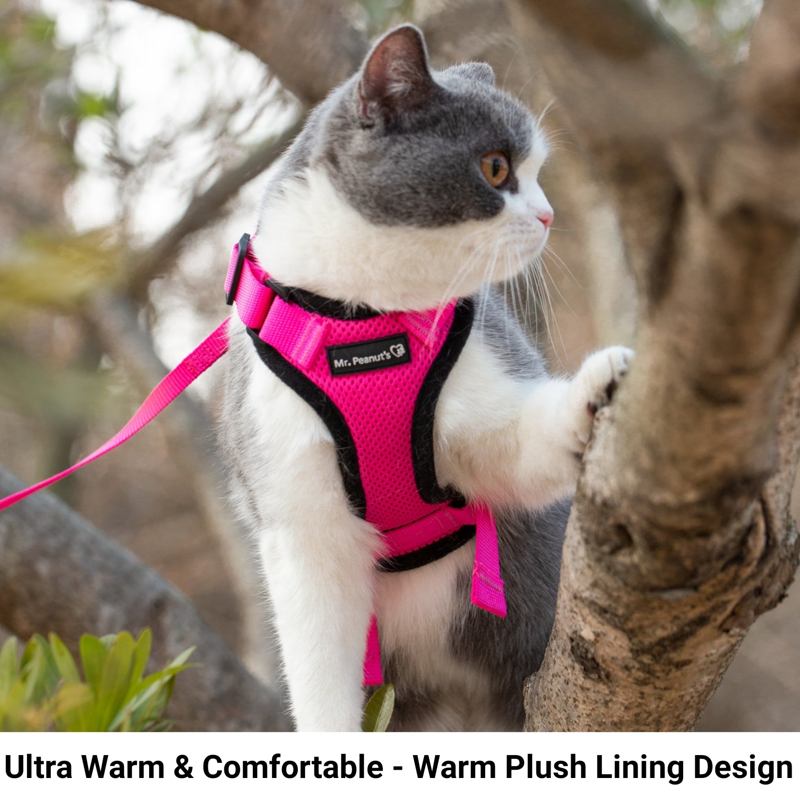 Mr. Peanut's PurrTrek Reflective Cat Harness with Matching Leash