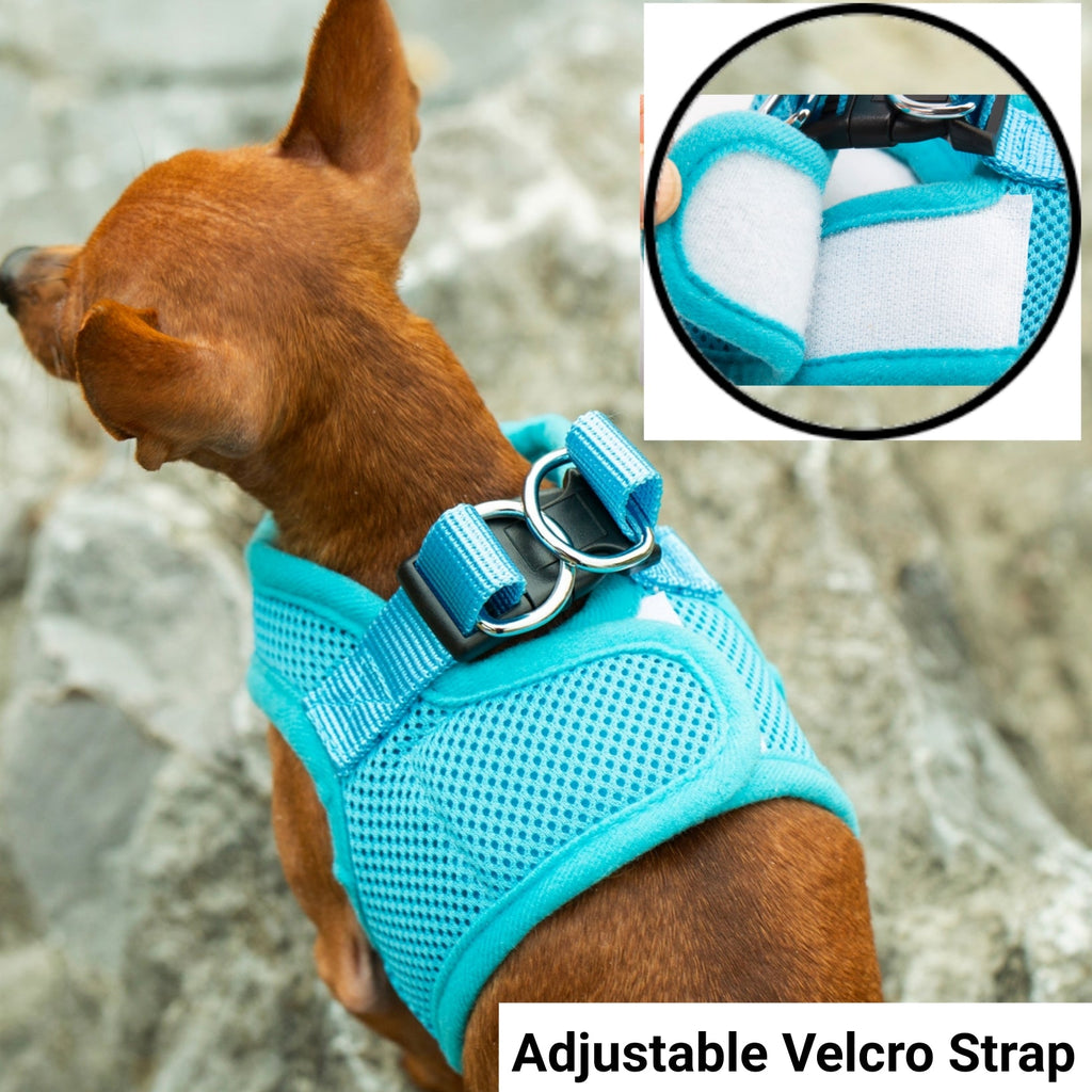 Mr. Peanut's PupTrek Soft Mesh Pet Harness with Matching Leash – Adjustable, Breathable, Choke-Free