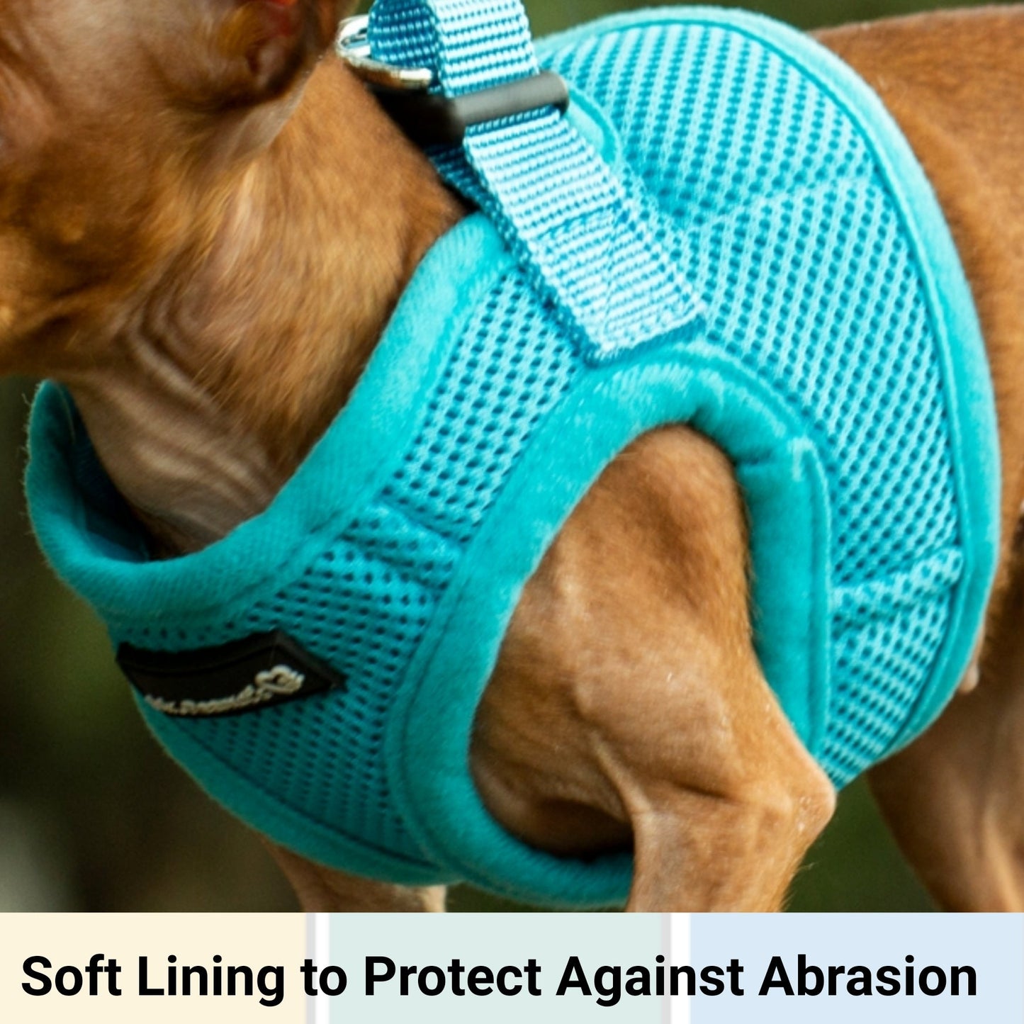 Mr. Peanut's PetTrek Soft Mesh Pet Harness with Matching Leash – Adjustable, Breathable, Choke-Free
