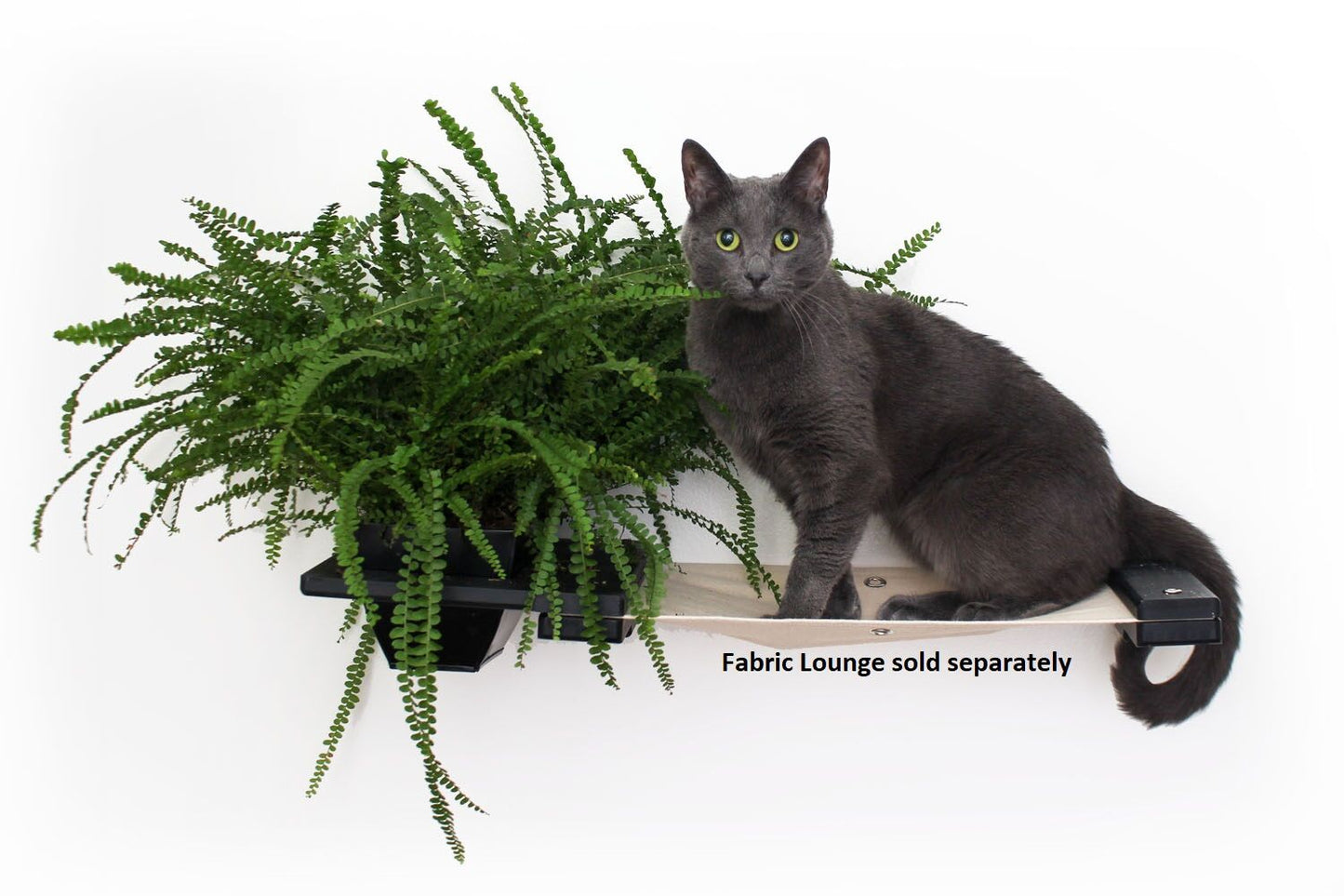 Cat Plant Stand for Wall
