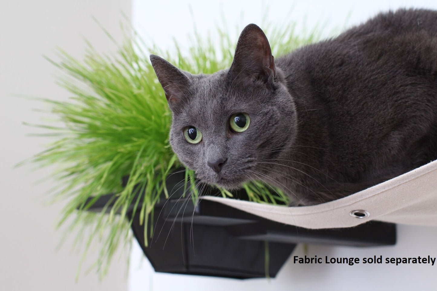 Cat Plant Stand for Wall