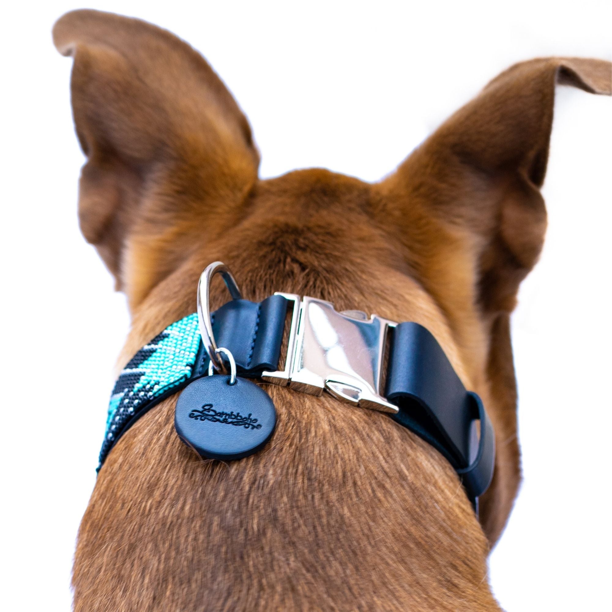 Saint Barth dog collar (quick release)
